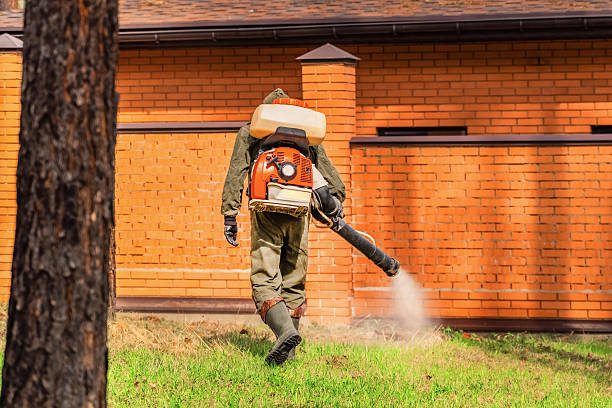 Top rated local Ant Control specialists in Ladoga, IN